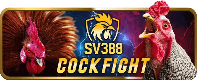 Cấp độ VIP Kim Cương go8105